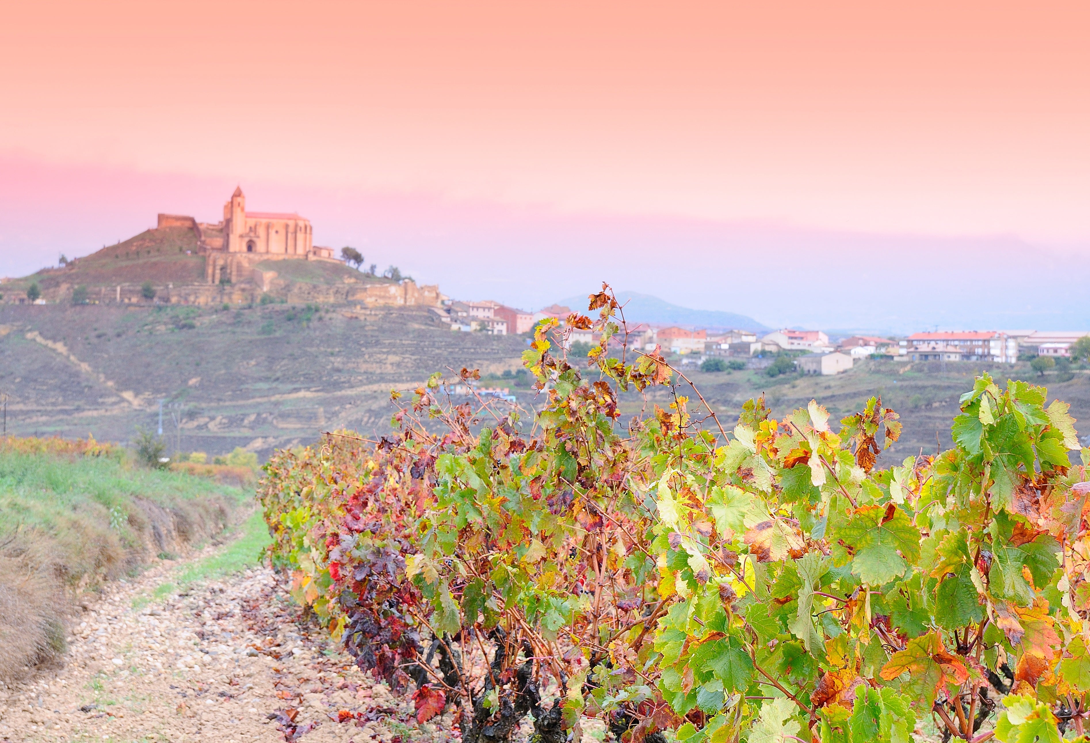 Colorful autumn vineyard in Rioja, Spain, with a historic hilltop church and village in the background under a pastel pink sunset sky.